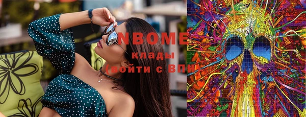 дурь Каменка
