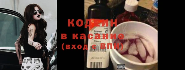 дурь Каменка
