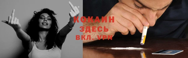 твердый Михайловск