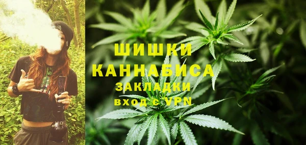 мескалин Касимов