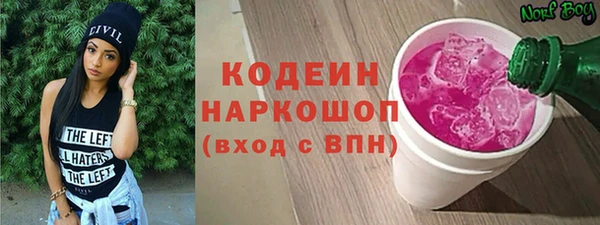 шишки Карталы
