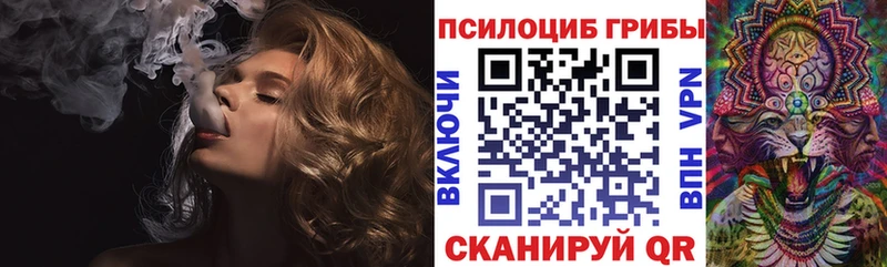 Галлюциногенные грибы Psilocybe  купить закладку  даркнет как зайти  Нелидово 